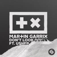 Martin Garrix, Usher