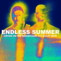 Sam Feldt, Jonas Blue, Endless Summer, Violet Days