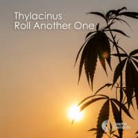 Thylacinus