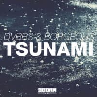 DVBBS, Borgeous