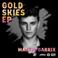 Dimitri Vegas & Like Mike, Martin Garrix
