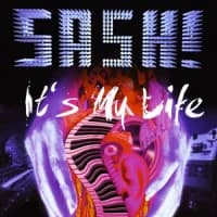 Sash!, Natural Born Grooves