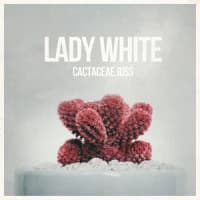 Lady White