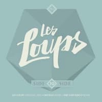 Les Loups, She Said Disco