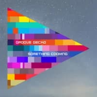 Groove Gecko