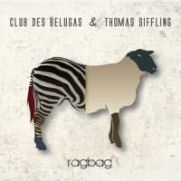 Club des Belugas, Thomas Siffling