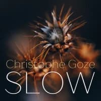 Christophe Goze