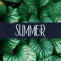 Insthrumental Beasts