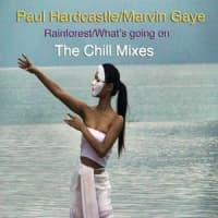 Paul Hardcastle, Marvin Gaye