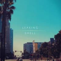 Leaking Shell