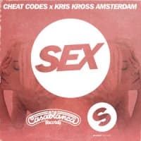 Cheat Codes, Kris Kross Amsterdam