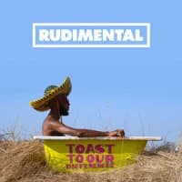 Rudimental, Jess Glynne, Macklemore, Dan Caplen