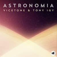 Vicetone, Tony Igy