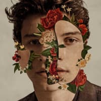 Shawn Mendes, Camila Cabello