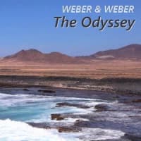 Weber & Weber