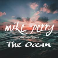 Mike Perry, shy martin