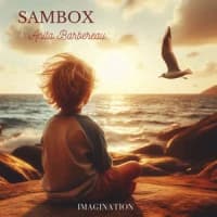 Sambox, Anita Barbereau