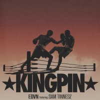 EDVN, Sam Tinnesz