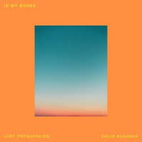 Lost Frequencies, David Kushner