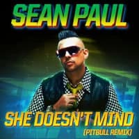 Sean Paul, Pitbull