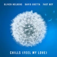 Oliver Heldens, David Guetta, FAST BOY