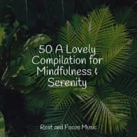 Spa, Deep Focus, Relaxation Music Guru