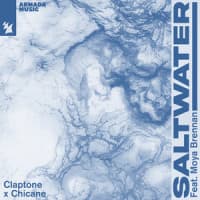 Claptone, Chicane, Moya Brennan