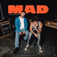 Martin Garrix, Lauv