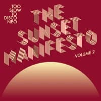 Young Gun Silver Fox