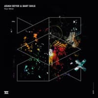 Adam Beyer, Bart Skils