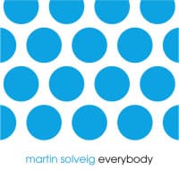 Martin Solveig - Everybody