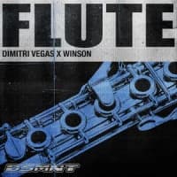 Dimitri Vegas, WINSON
