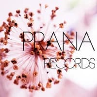 Alankara, Jazzy D, Han Litz