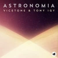 Vicetone, Tony Igy