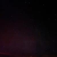 Potato-g