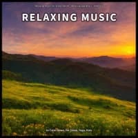 Relaxing Music for Stress Relief, Relaxing Spa Music, Ambient