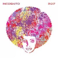 Incognito, Bluey