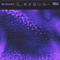 Glimlip, Louk, Matt Wilde