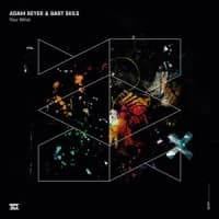 Adam Beyer, Bart Skils