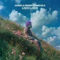 Gordo, Reinier Zonneveld
