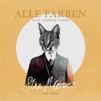 Alle Farben & Graham Candy