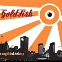 GoldFish