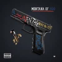 Montana of 300