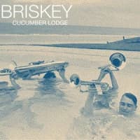 Briskey
