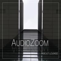 Audiozoom