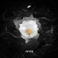 Avicii, Rita Ora