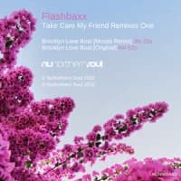 Flashbaxx, Moods