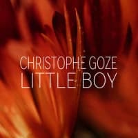 Christophe Goze