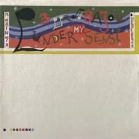 Boozoo Bajou, Thievery Corporation