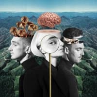 Clean Bandit, Julia Michaels